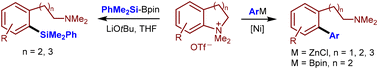 Graphical abstract: Cross-coupling reaction of cyclic quaternary ammonium salts with arylzinc reagents, arylboron reagents, and silylboronates
