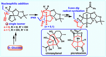 Graphical abstract: A versatile approach toward enantiospecific synthesis of sugar-linked oxapolyquinanes via IPKR