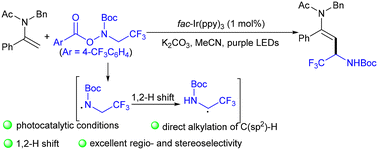 Graphical abstract: Photocatalytic stereoselective synthesis of amido-substituted (E)-α-trifluoromethyl allylamines via Heck-type alkylation