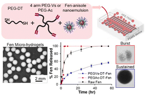 Graphical abstract: From burst to controlled release: using hydrogel crosslinking chemistry to tune release of micro-crystalline active pharmaceutical ingredients