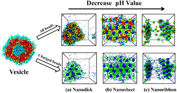 Graphical abstract: pH-induced morphological transition of aggregates formed by miktoarm star polymers in dilute solution: a mesoscopic simulation study