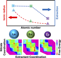 Graphical abstract: Metadynamics investigation of lanthanide solvation free energy landscapes and insights into separations energetics