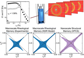 Graphical abstract: Linking structural and rheological memory in disordered soft materials