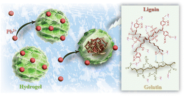 Graphical abstract: Novel green fabrication of stable hydrogel beads from industrial waste lignin for efficient Pb(ii) ion removal