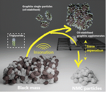 Graphical abstract: Using ultrasonic oil–water nano-emulsions to purify lithium-ion battery black mass