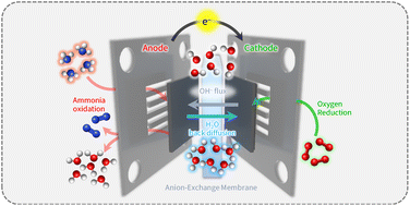 Graphical abstract: Electrocatalyst design strategies towards high performance anion-exchange membrane-based direct ammonia fuel cells