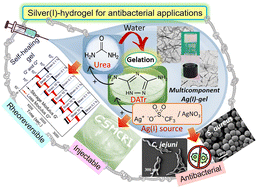 Graphical abstract: Purpose-built multicomponent supramolecular silver(i)-hydrogels as membrane-targeting broad-spectrum antibacterial agents against multidrug-resistant pathogens