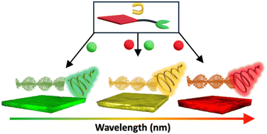Graphical abstract: Lanthanide hydrogels with tunable circularly polarized luminescence (CPL) via supramolecular chirality induction