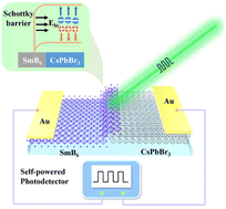 Graphical abstract: An advanced self-powered visible-light photodetector based on the asymmetric Au/CsPbBr3/SmB6 junction