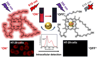 Graphical abstract: A water-soluble fluorescent probe based on porphyrin derivatives for Cu2+ detection in aqueous solution and living cells