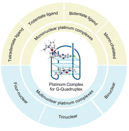 Graphical abstract: A state-of-the-art view: G-quadruplex-targeting for platinum complexes’ treatment of tumors