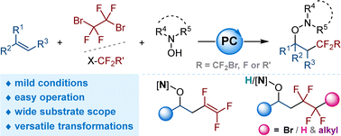Graphical abstract: Visible-light organophotoredox-catalyzed fluoroalkyl aminoxylation of unactivated and activated alkenes