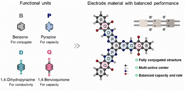 Graphical abstract: DNA-inspired design of organic electrode materials for high-performance aqueous Zn-ion batteries