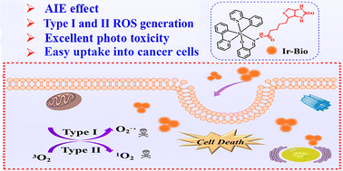 Graphical abstract: AIE Ir(iii) complex conjugated with biotin as a photosensitizer for enhanced photodynamic anticancer therapy