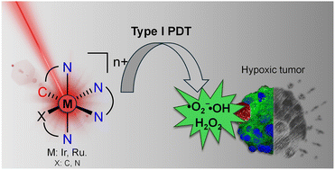 Graphical abstract: Insights into type I photoreactivity of cyclometalated iridium(iii) and ruthenium(ii) photosensitizers