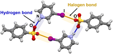 Graphical abstract: Halopyridinium cations as bifunctional donors of halogen and hydrogen bonds in salts with benzenesulfonic and p-toluenesulfonic acids