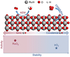 Graphical abstract: Metal–oxygen bonding characteristics dictate activity and stability differences of RuO2 and IrO2 in the acidic oxygen evolution reaction