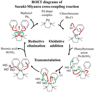 Graphical abstract: Tracking electron motion driving the Suzuki–Miyaura cross-coupling reaction
