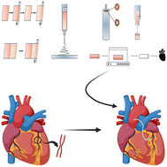 Graphical abstract: An overview of small diameter vascular grafts: from materials to fabrication
