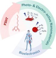 Graphical abstract: Poly(3-hexylthiophene) as a versatile semiconducting polymer for cutting-edge bioelectronics