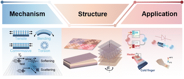 Graphical abstract: Thermal transport in mechanically deformed two-dimensional materials and designed structures with their applications