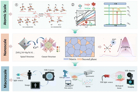 Graphical abstract: Advances in atomic-to-nanoscale Cr3+ lattice engineering for near-infrared emitting ceramic phosphors