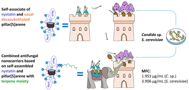 Graphical abstract: Combined antifungal nanocarriers based on self-assembled nystatin and pillar[5]arene with a terpene moiety