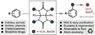 Graphical abstract: Electrophilic glycoluril-based reagents for atom-economic thiocyanation and selenocyanation of (hetero)arenes