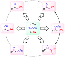Graphical abstract: Radical di- and multi-functionalization of alkenes: recent advances in diverse reaction modes utilizing TBHP as reactants