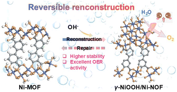 Graphical abstract: Reversible surface reconstruction of metal–organic frameworks for durable oxygen evolution reaction