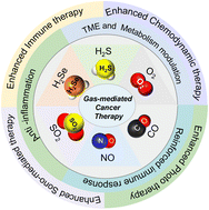 Graphical abstract: Gas-mediated reinforcement of cancer therapies: emerging strategies and future perspectives