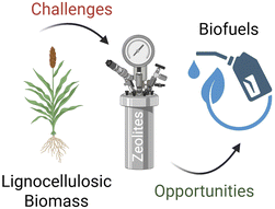Graphical abstract: State-of-the-art on the conversion of lignocellulosic biomass and its derivatives into biofuels using zeolites as catalysts