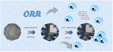 Graphical abstract: Architecting hydrangea-inspired nitrogen-doped hollow carbon with isolated Co atoms for superior oxygen reduction catalysis
