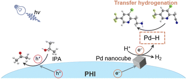 Graphical abstract: Photocatalytic transfer hydrogenation of nitriles to primary amines over a Pd nanocube-modified poly(heptazine imide) catalyst