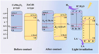 Graphical abstract: Construction of S-scheme CoMn2O4/ZnCdS p–n heterojunction for enhanced photocatalytic hydrogen production