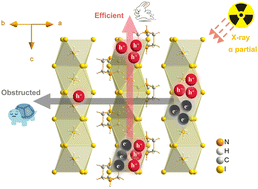Graphical abstract: Enhanced X-ray detection of one-dimensional DABCO–NH4I3 perovskites via anisotropic carrier transmission study