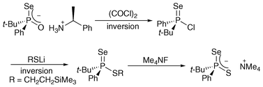 Graphical abstract: Enantiomerically pure P-chiral phosphinoselenoic chlorides: inversion of configuration at the P-chirogenic center in the synthesis and reaction of these substances