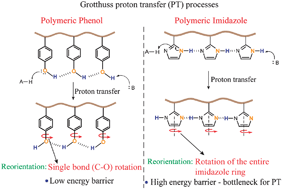 Graphical abstract: Importance of dynamic hydrogen bonds and reorientation barriers in proton transport