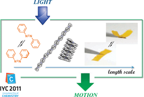 Graphical abstract: Toward optomechanics: Maximizing the photodeformation of individual molecules