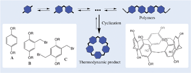 Graphical abstract: The high yielding synthesis of pillar[5]arenes under Friedel–Crafts conditions explained by dynamic covalent bond formation