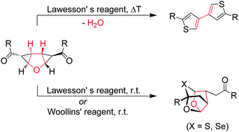 Graphical abstract: Donor–acceptor cyclopropanes with Lawesson's and Woollins' reagents: formation of bisthiophenes and unprecedented cage-like molecules