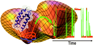 Graphical abstract: Microsecond folding experiments and simulations: a match is made