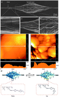 Graphical abstract: Photo-controlled water gathering on bio-inspired fibers