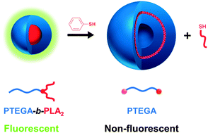 Graphical abstract: Dual effect of thiol addition on fluorescent polymeric micelles: ON-to-OFF emissive switch and morphology transition