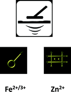 Graphical abstract: Iron and zinc sensing in cells and the body