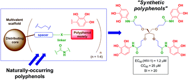 Graphical abstract: Multivalent agents containing 1-substituted 2,3,4-trihydroxyphenyl moieties as novel synthetic polyphenols directed against HIV-1