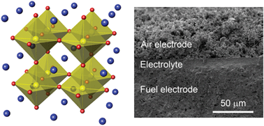 Graphical abstract: Y-doped BaZrO3 as a chemically stable electrolyte for proton-conducting solid oxide electrolysis cells (SOECs)