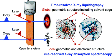 Graphical abstract: Tracking reaction dynamics in solution by pump–probe X-ray absorption spectroscopy and X-ray liquidography (solution scattering)