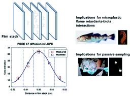 Graphical abstract: Implications of observed PBDE diffusion coefficients in low density polyethylene and silicone rubber