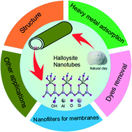 Graphical abstract: Recent advances in halloysite nanotube derived composites for water treatment